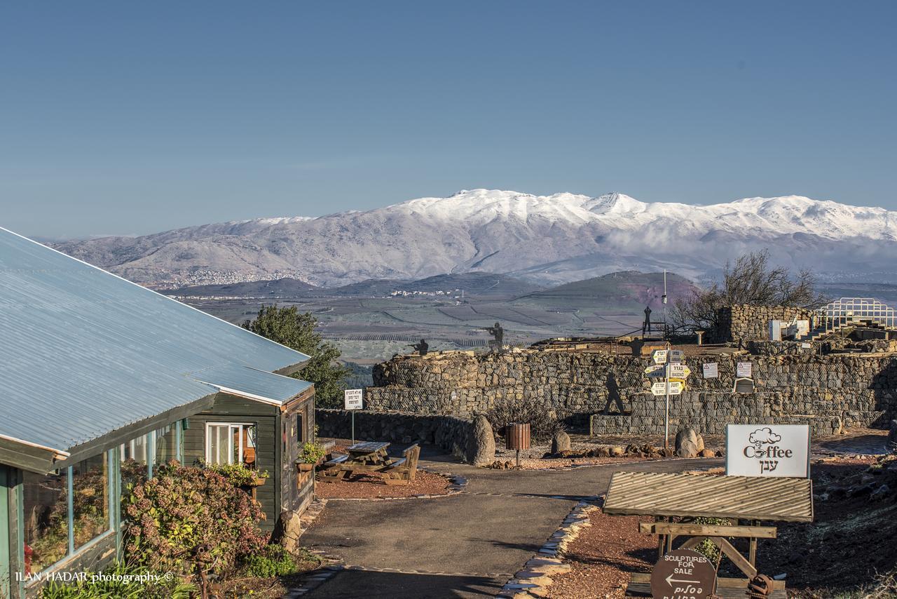 Merom Golan Resort Eksteriør bilde