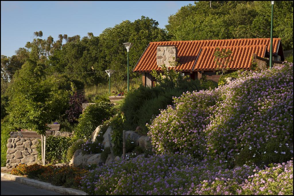 Merom Golan Resort Eksteriør bilde